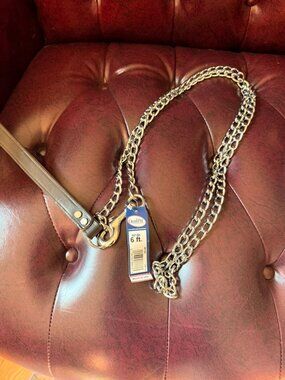 Omni Pet Dog Leash 6 Ft Foot Link chain for dogs